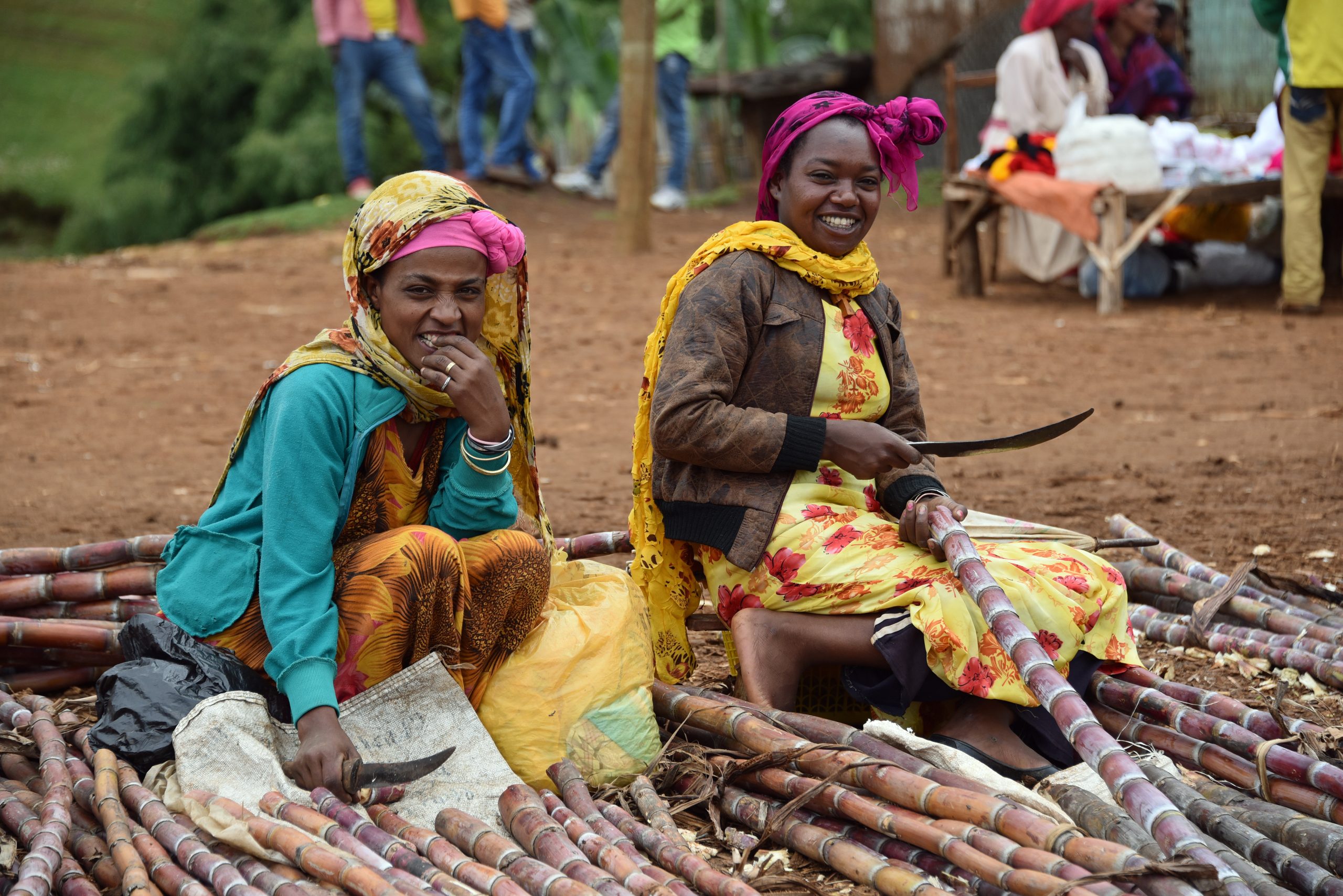 Ethiopia Arba Minch, Dorze women selling sugarcane1jpg