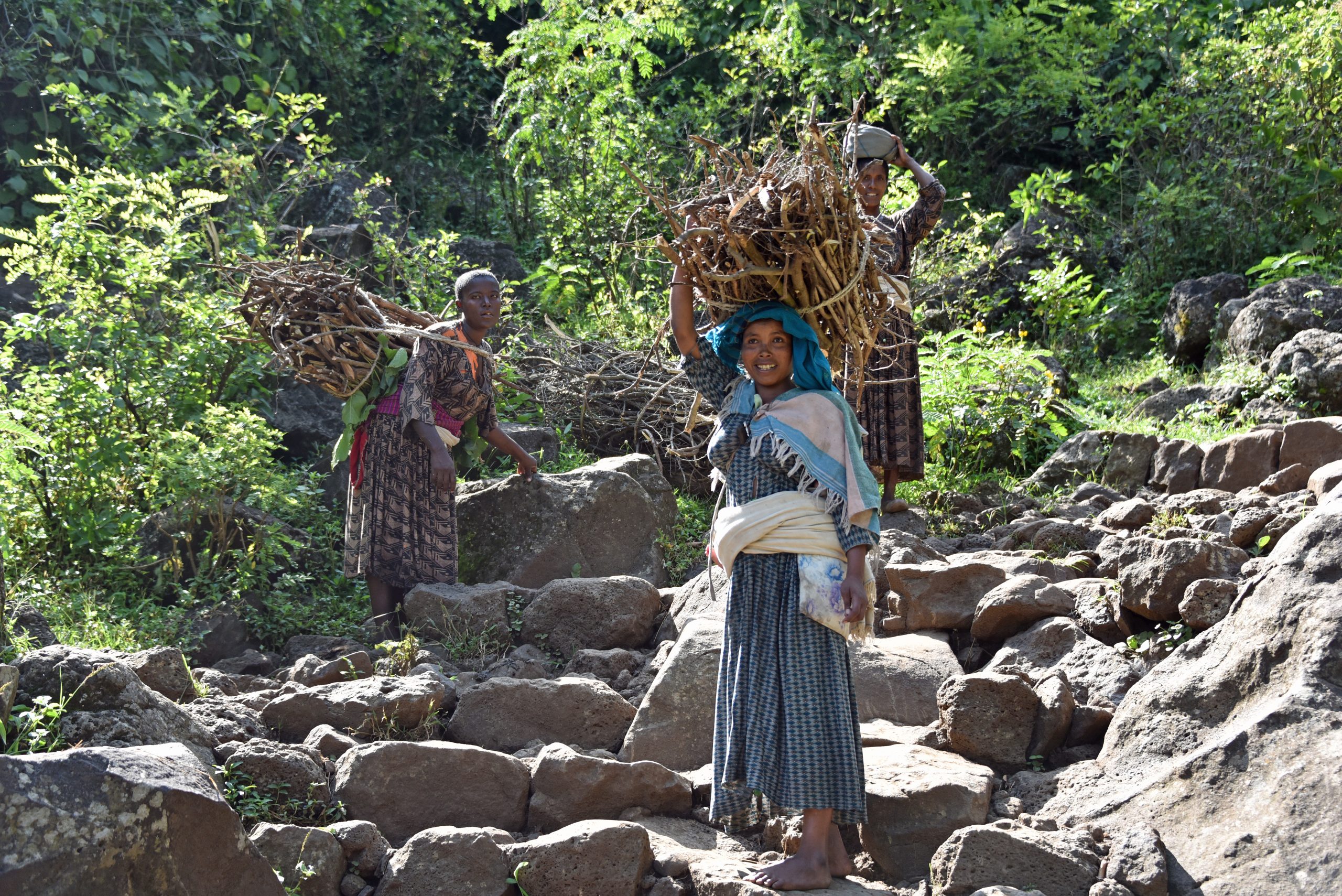 Ethiopia, women carrying firewood1