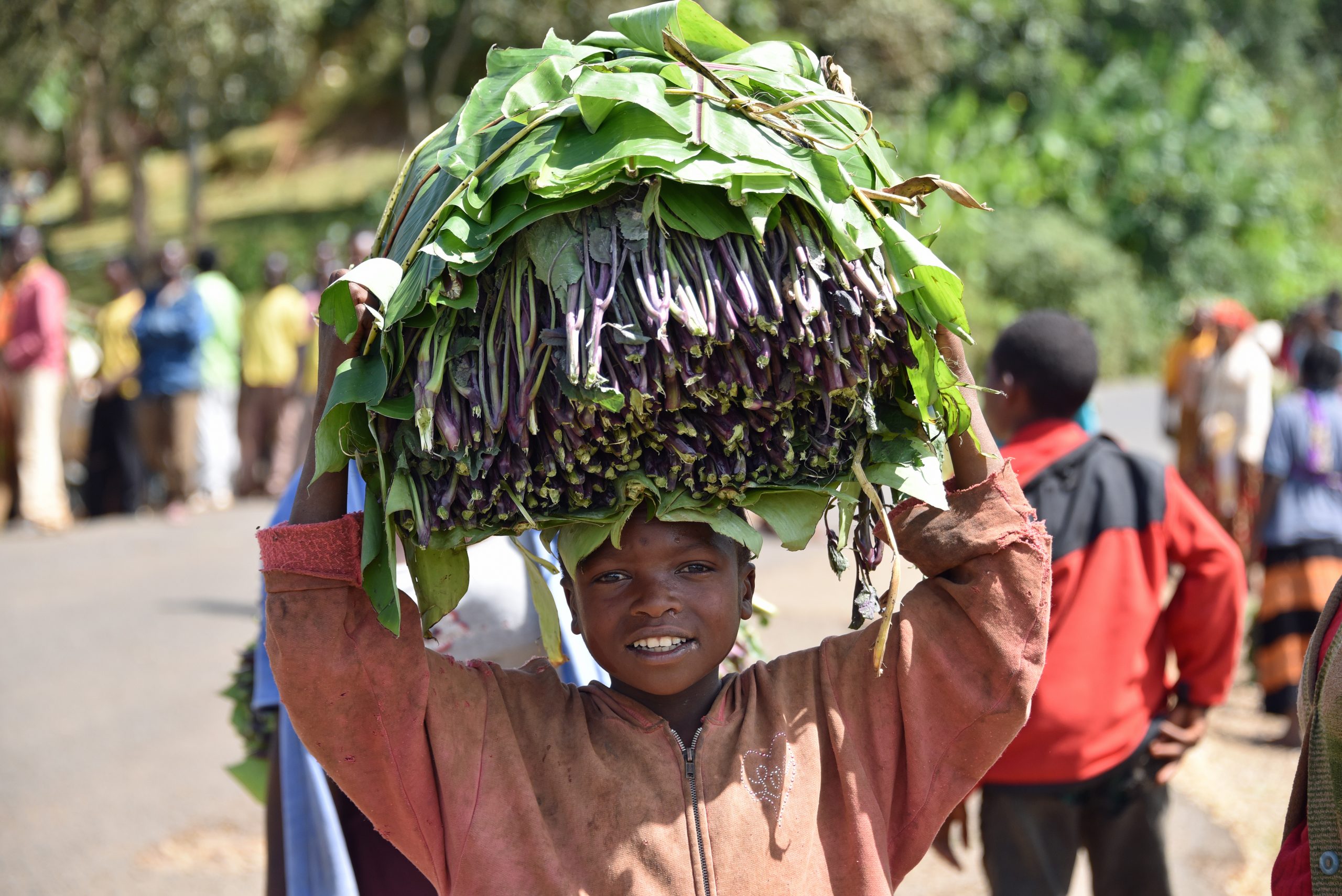Ethiopian young boy carrying Vegetables market day