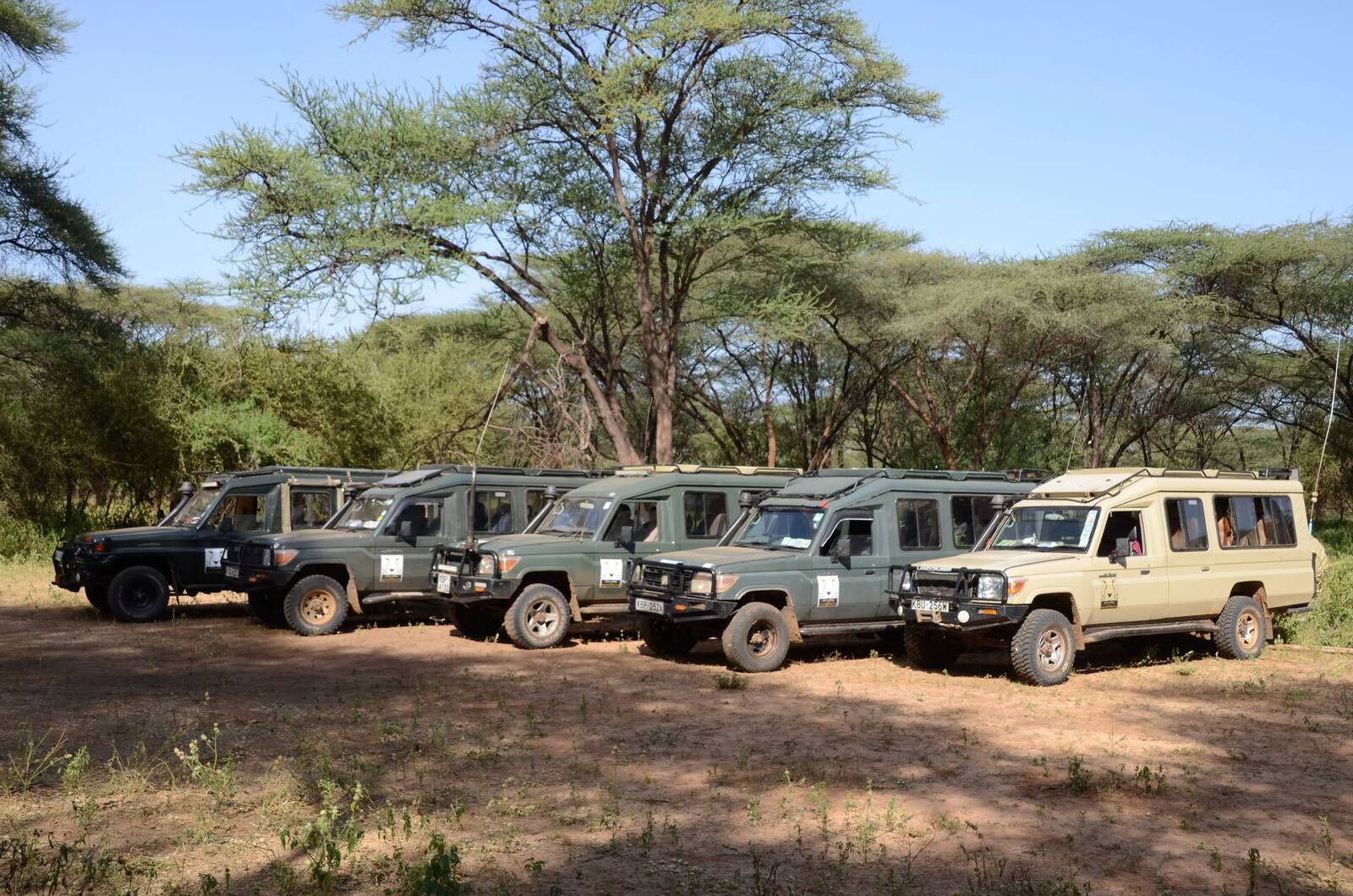 Safari vehicles in convoy across the Kenya savannah
