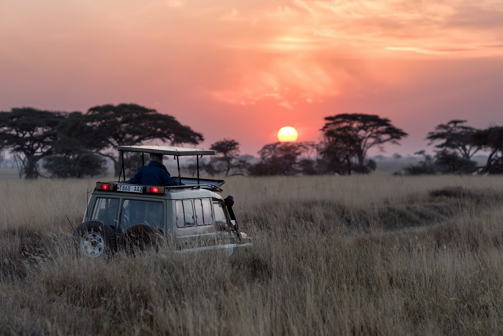 Kenya savanna landscape at sunrise, Africa Calling Safaris territory